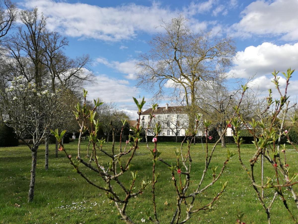 Chateau De Brinville Saint-Sauveur-sur-Ecole Екстериор снимка