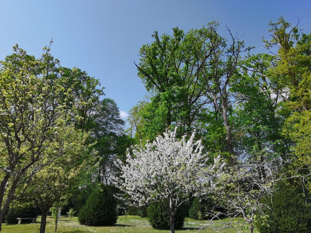 Chateau De Brinville Saint-Sauveur-sur-Ecole Екстериор снимка
