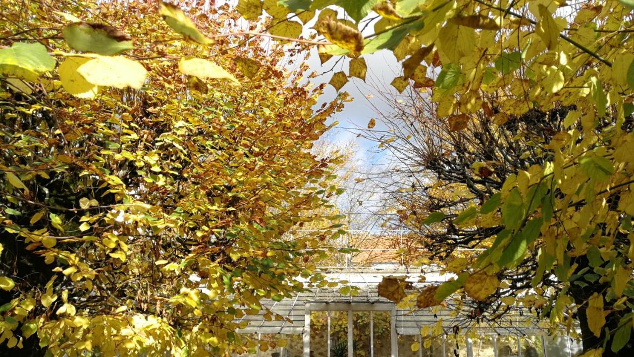 Chateau De Brinville Saint-Sauveur-sur-Ecole Екстериор снимка