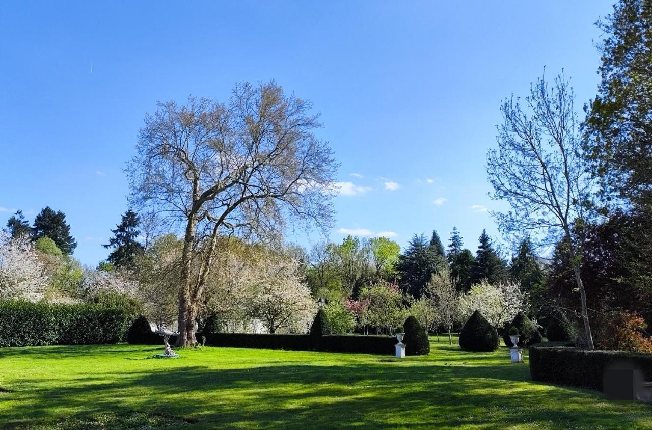 Chateau De Brinville Saint-Sauveur-sur-Ecole Екстериор снимка